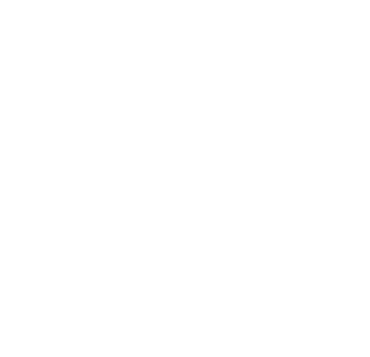 TRIDENT ADVISORY